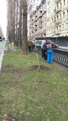 В Киеве капитально отремонтируют бульвар Шевченко