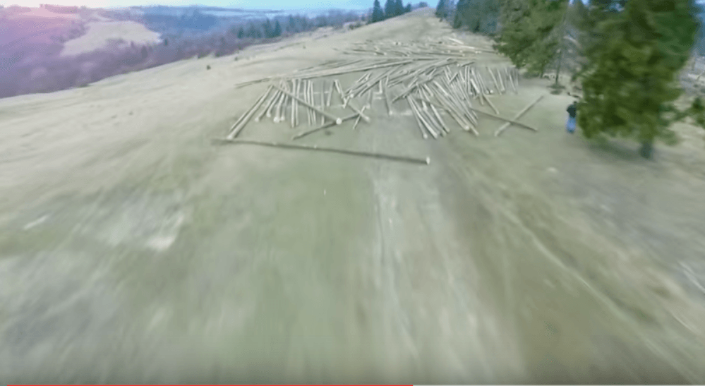 Як тане український ліс: вирубка карпатських лісів набула масового та постійного характеру