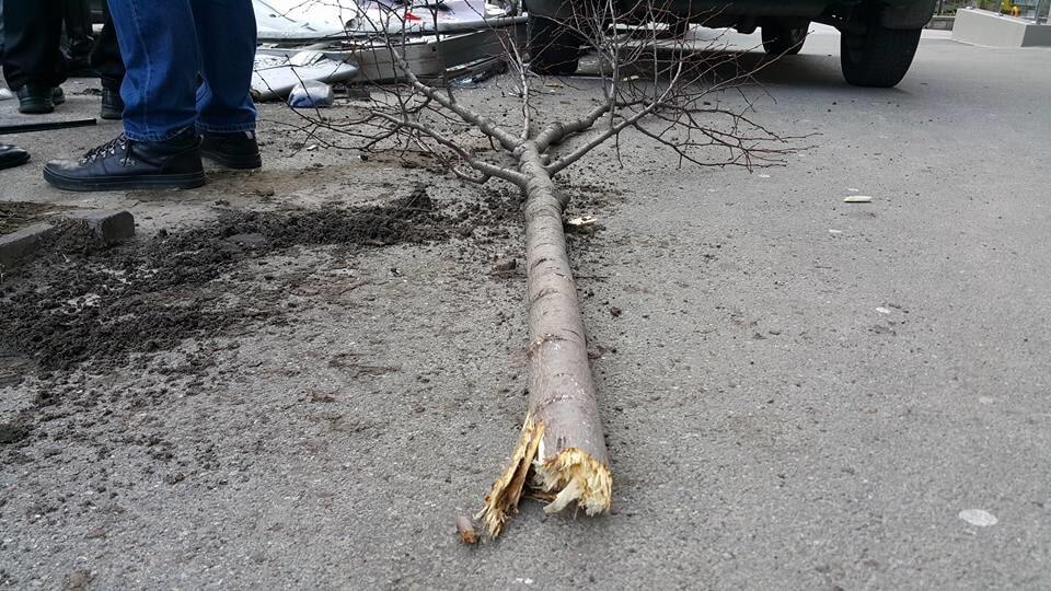 В Киеве пьяный водитель на BMW сбил дерево и "помял" 4 машины