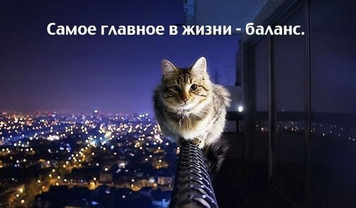 Топ-15 позитивных открыток для поднятия настроения