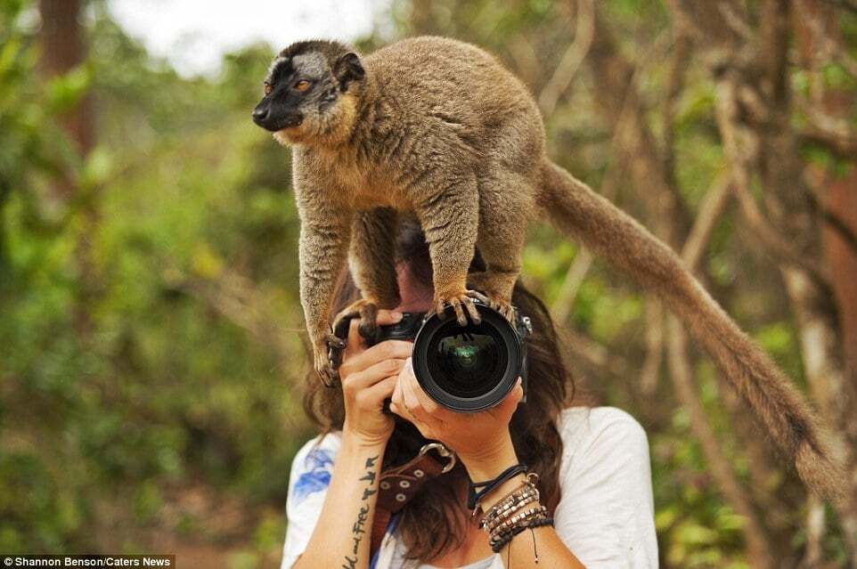 Приручить зверя: потрясающие снимки бесстрашного фотографа из ЮАР