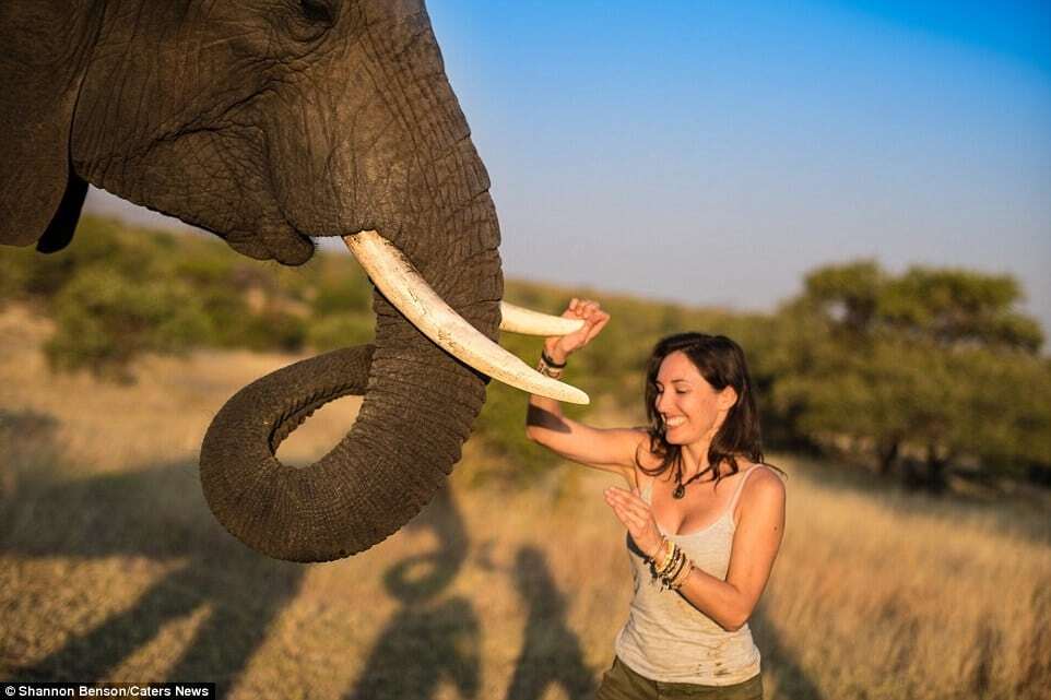 Приручить зверя: потрясающие снимки бесстрашного фотографа из ЮАР
