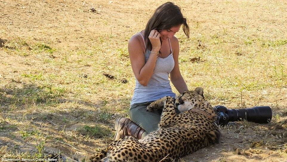 Приручить зверя: потрясающие снимки бесстрашного фотографа из ЮАР