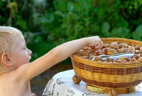 Маме на заметку: орехи, сухофрукты и семечки в рационе ребенка