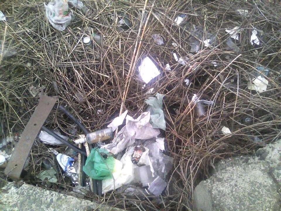 В Киеве возле торгового центра устроили мусорную свалку: опубликованы фото