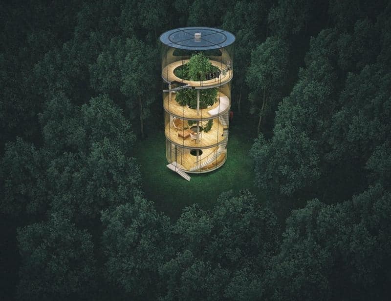 Дача мечты: фантастический стеклянный дом вокруг дерева