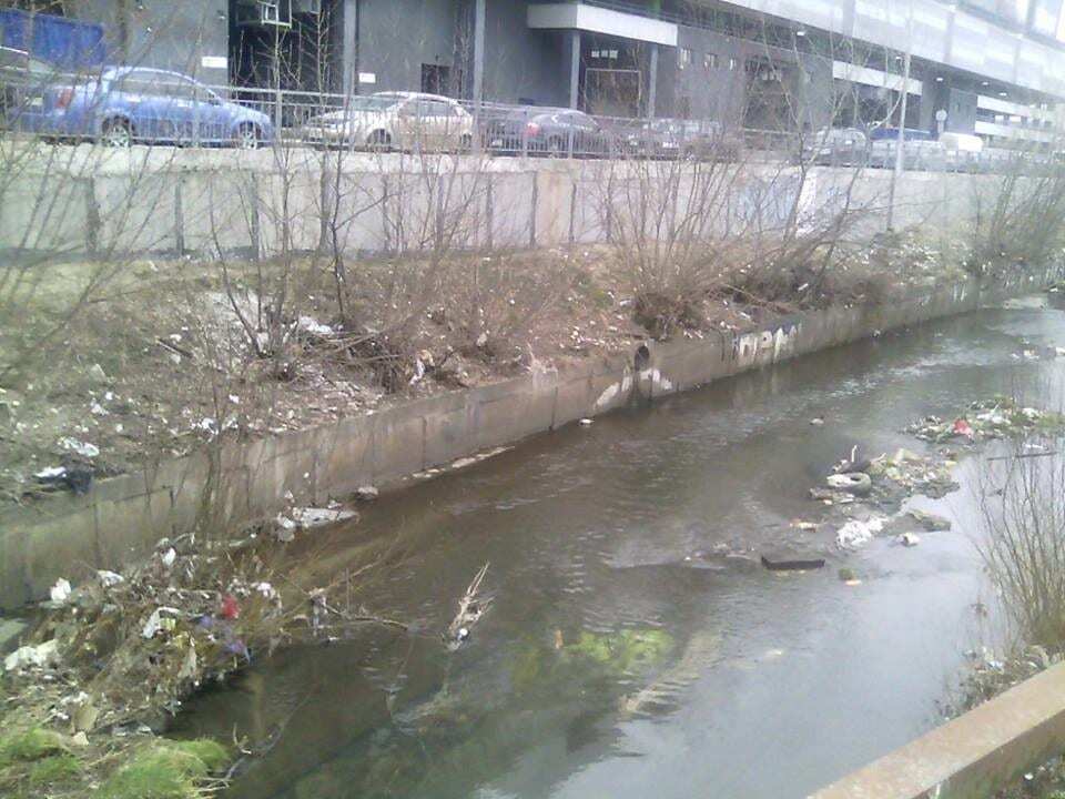 В Киеве возле торгового центра устроили мусорную свалку: опубликованы фото