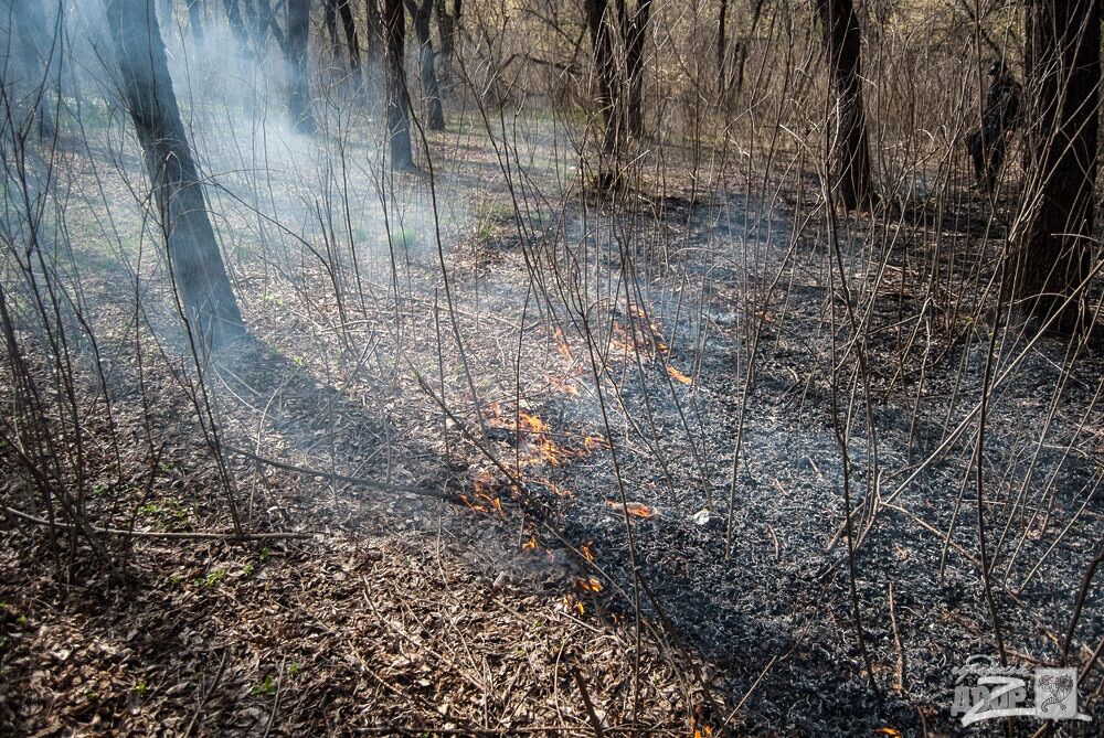 Суровый харьковский коп потушил пожар ногами: опубликованы фото