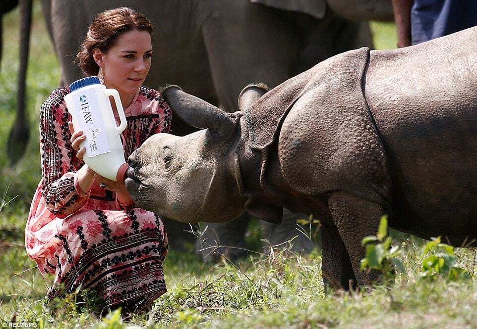 Кейт Міддлтон в Індії напоїла слоненя молоком: опубліковані фото