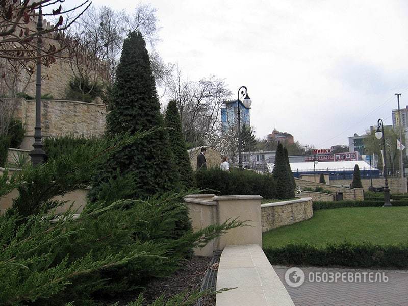 Весна настала: де в Києві можна помилуватися масовим цвітінням 