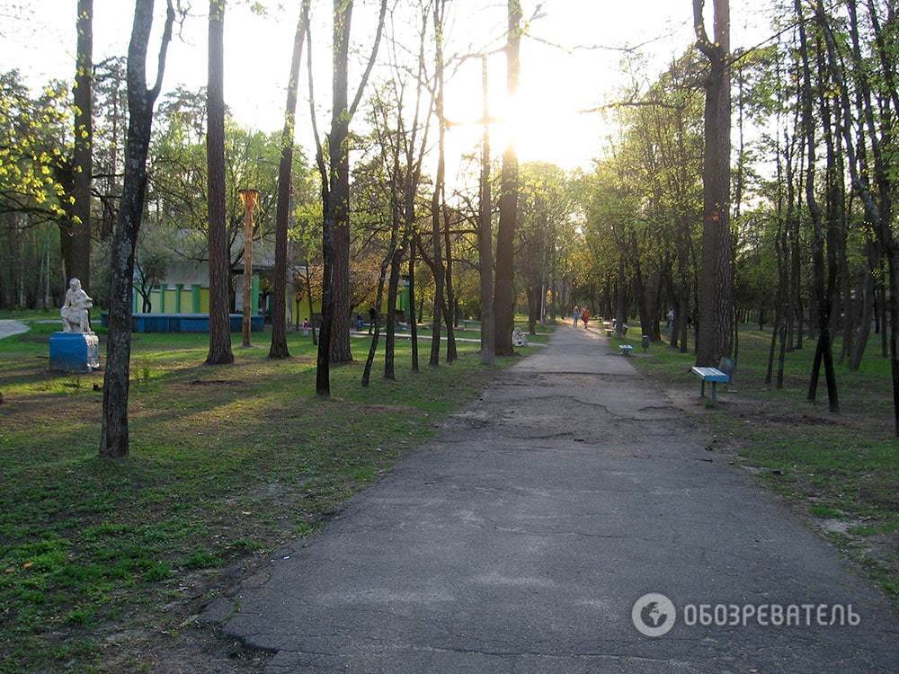 Где отдохнуть в Киеве любителям природы: фоторепортаж из Пуща-Водицы