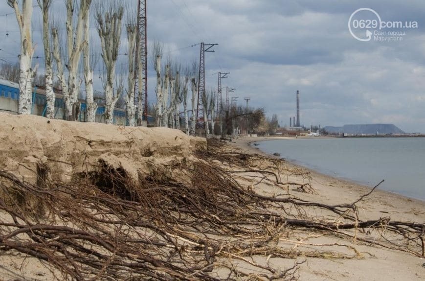 Поваленые деревья и оборванные провода: появились фото последствий шторма в Мариуполе