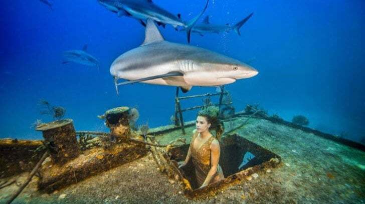 Бразильская модель снялась в фотосессии с акулами: невероятные фото