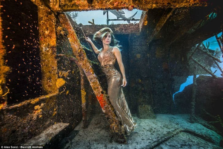 Бразильская модель снялась в фотосессии с акулами: невероятные фото