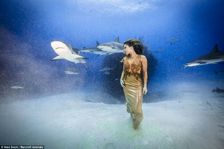 Бразильская модель снялась в фотосессии с акулами: невероятные фото