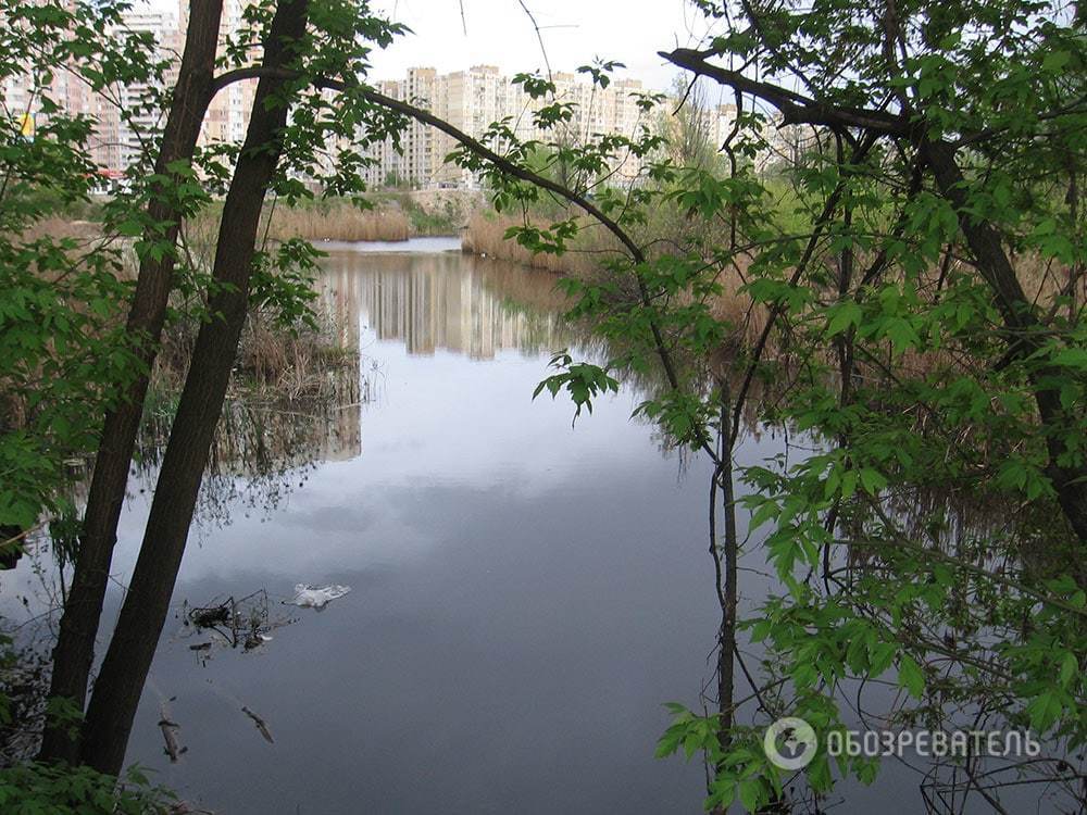 Озеро Качине у Києві може зникнути під будівництвом: опубліковані фото 