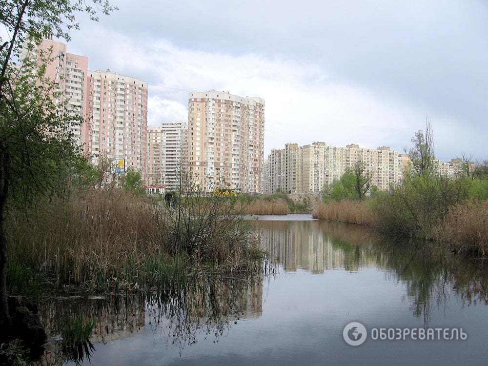 Озеро Качыне в Киеве может исчезнуть под стройкой: опубликованы фото 