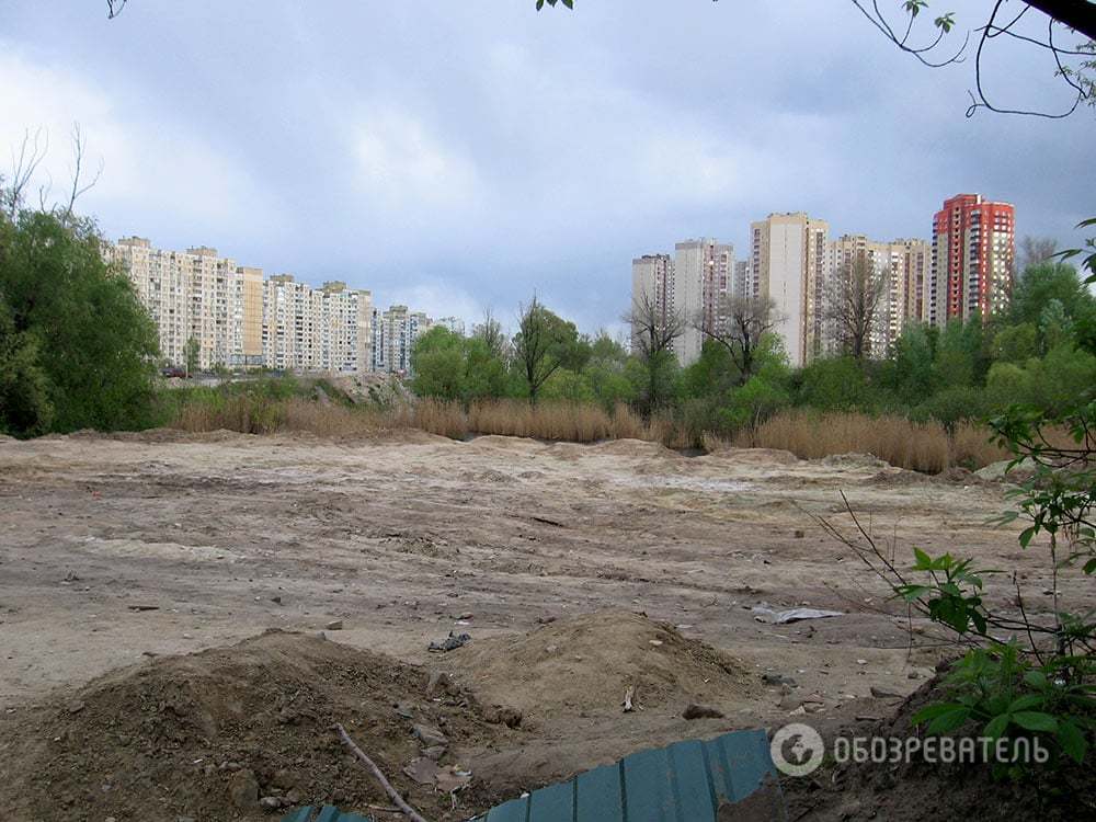 Озеро Качине у Києві може зникнути під будівництвом: опубліковані фото 