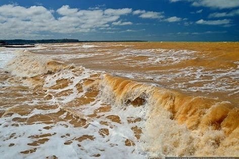 "Природа намекает": в Крыму пожелтело море. Фотофакт