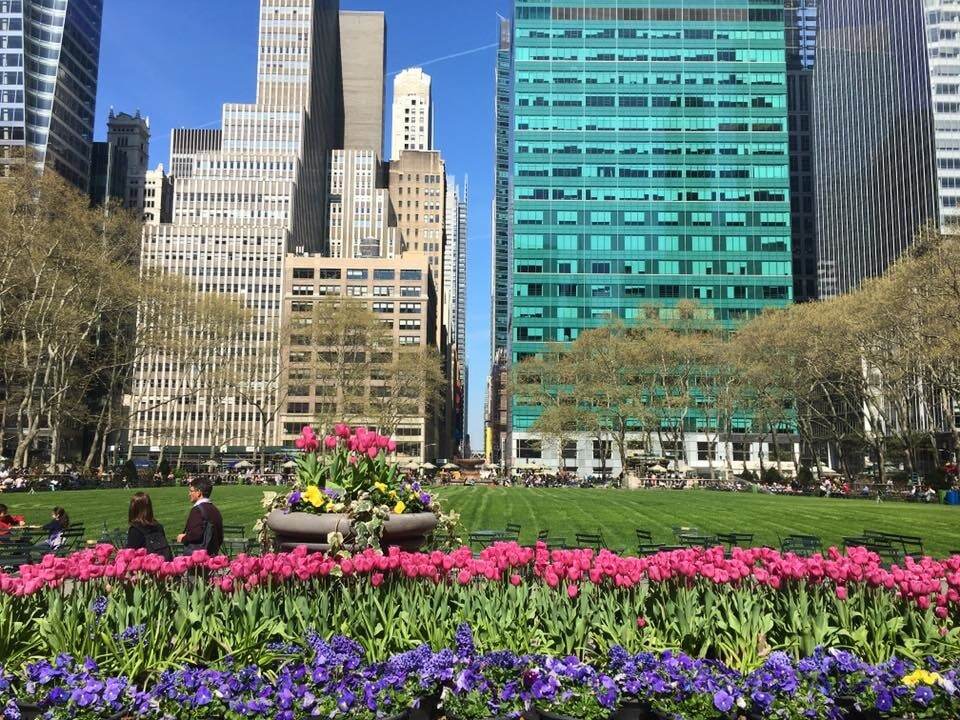 Тюльпани на вулицях Нью-Йорка: приголомшливі фото