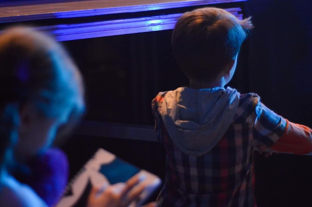 Brunettes Shoot Blondes выступили с первым сольным концертом в Киеве