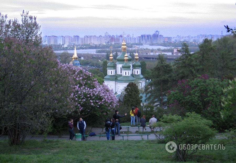 У Києві в ботанічному саду зацвів бузок: опубліковані фото