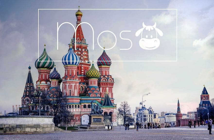 Москва - корова: дизайнер создала забавные лого городов. Опубликованы фото