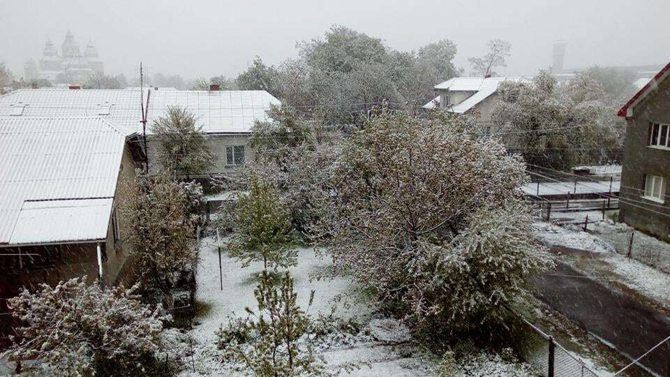 Зимняя погода. Львовщину замело снегом: фотофакт