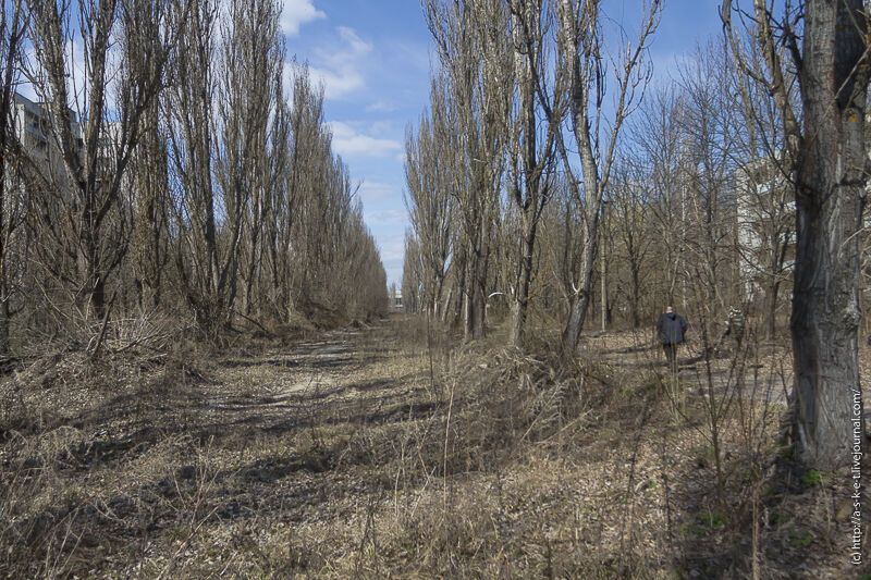 30 лет аварии на ЧАЭС