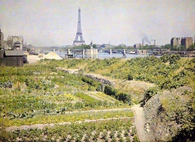 20 унікальних фото Парижа XX століття, зроблені за допомогою картоплі