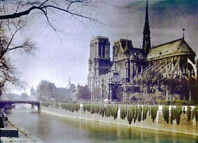 20 уникальных фото Парижа XX века, сделанные с помощью картошки