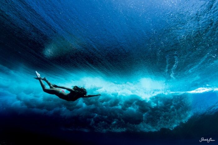 Подводный мир: 20 удивительных фото со дна морей и океанов