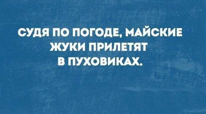 Топ-20 смешных открыток для настоящих оптимистов