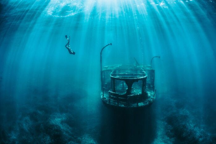 Подводный мир: 20 удивительных фото со дна морей и океанов
