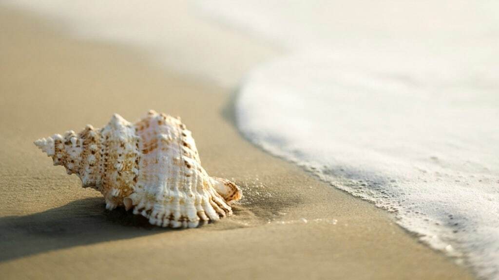 Дары моря: красочные снимки, от которых хочется в отпуск