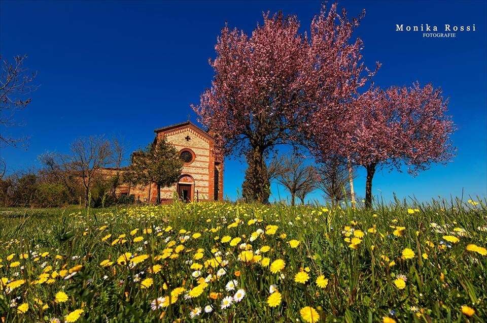 Краски весны: яркие фото цветущей Италии 