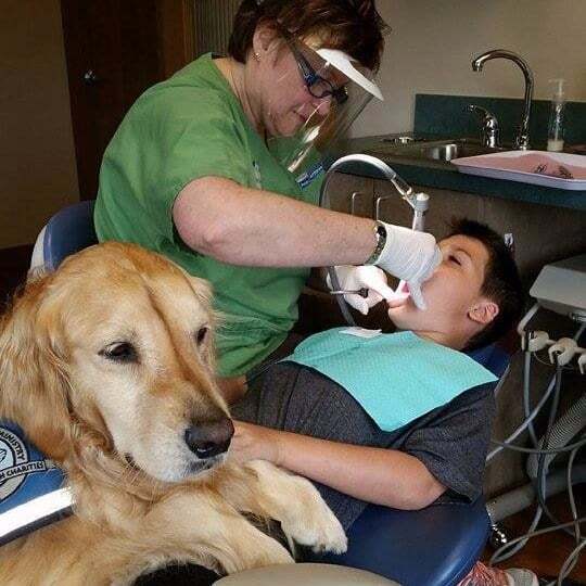 В США в детской стоматологии появился новый "пушистый" сотрудник