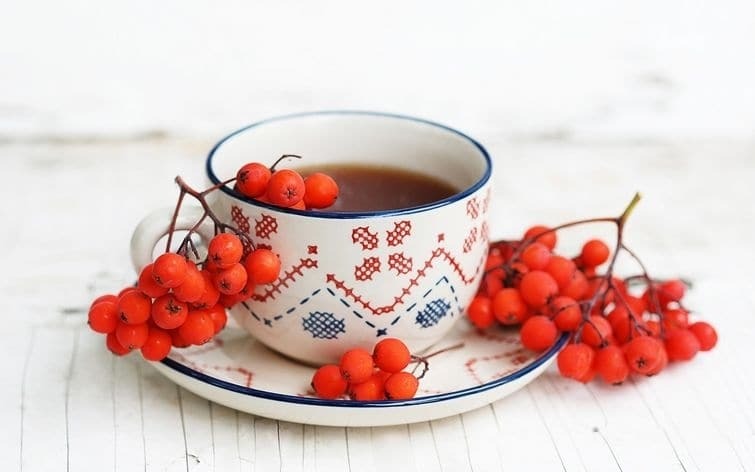 Пей и худей: топ-10 видов чая, которые помогут похудеть