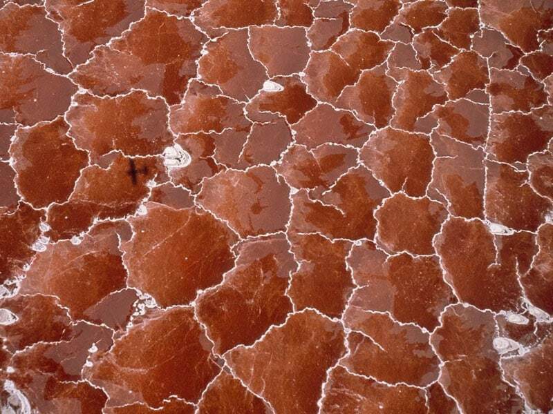 Зловещая красота озера Натрон в Танзании: поразительные фото