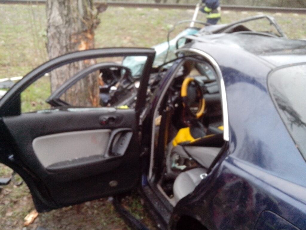 Под Киевом легковушка с пассажирами врезалась в дерево: опубликованы фото