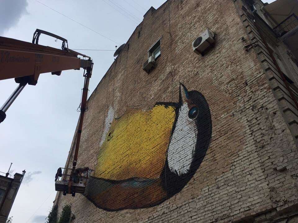 Новый мурал: в Киеве начали рисовать огромную синицу