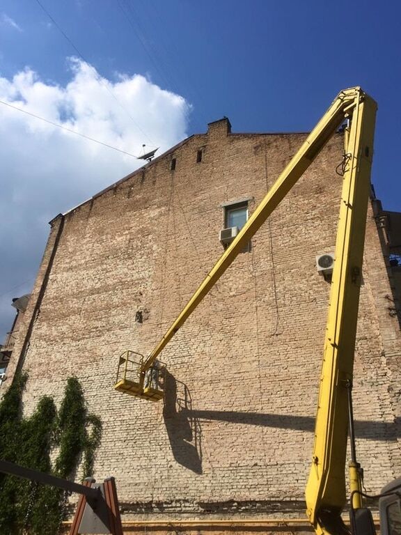 Новий мурал: у Києві почали малювати величезну синицю