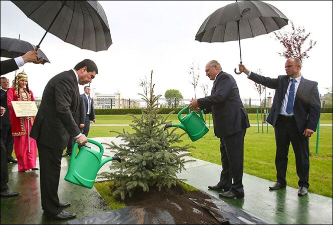 Лукашенко разом із президентом Туркменістану поливав ялинку під дощем