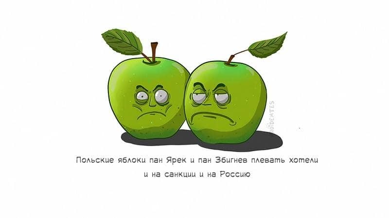 Как клубника и сыр страдают от санкций в России: опубликованы забавные открытки