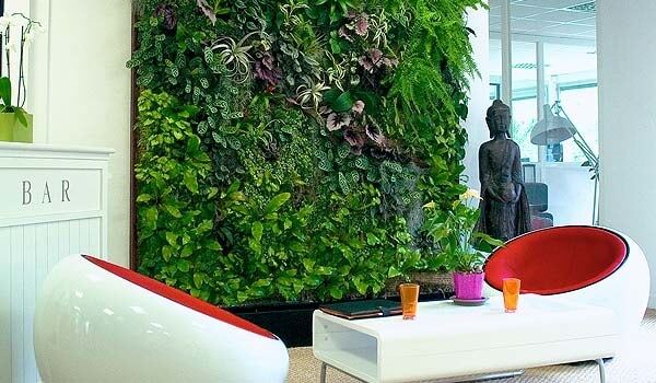 Вертикальный сад в доме – модно и практично