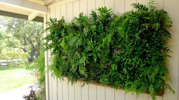 Вертикальный сад в доме – модно и практично