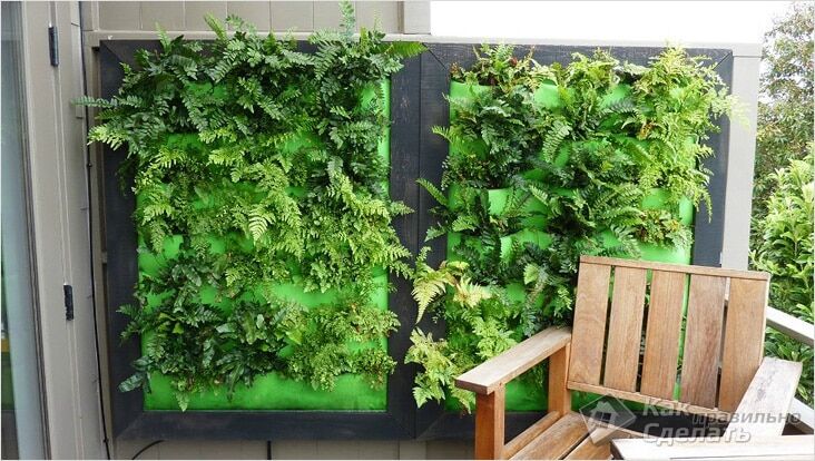 Вертикальный сад в доме – модно и практично
