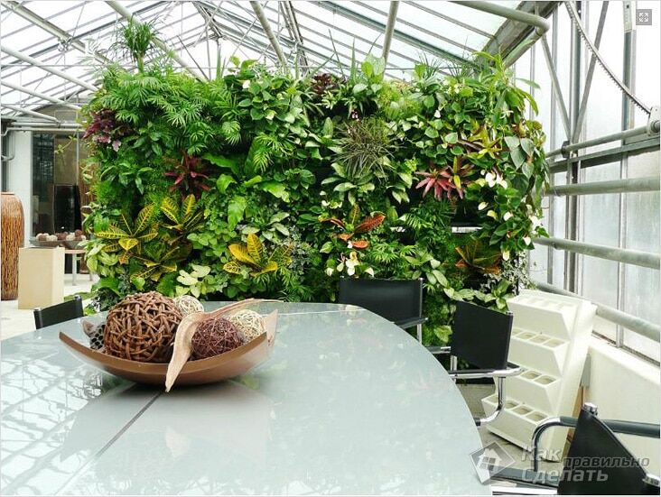 Вертикальный сад в доме – модно и практично