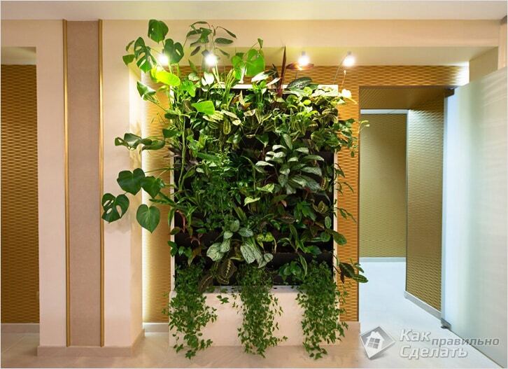 Вертикальный сад в доме – модно и практично