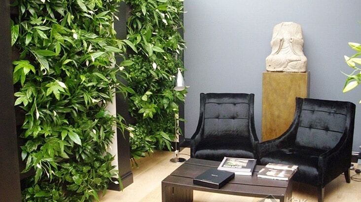 Вертикальный сад в доме – модно и практично